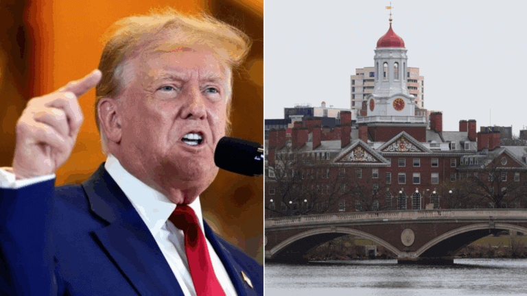trump-harvard
